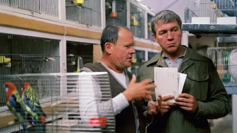 movie image