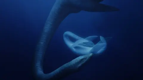 movie image