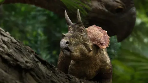 movie image