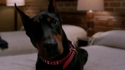 movie image