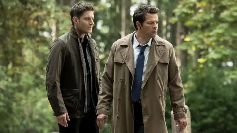 movie image