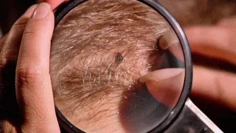 movie image