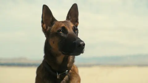 movie image