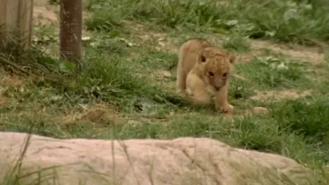 movie image