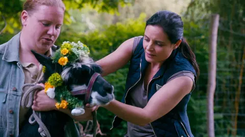 movie image