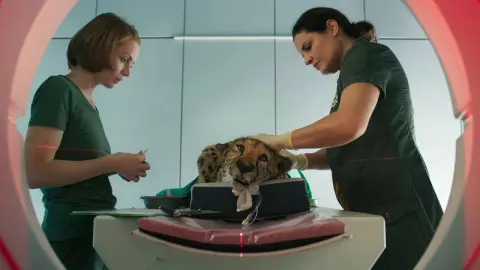 movie image