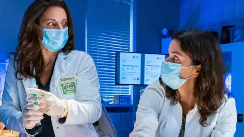 movie image