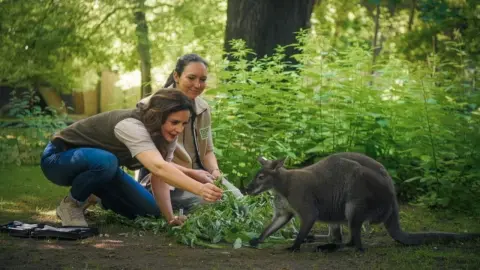 movie image