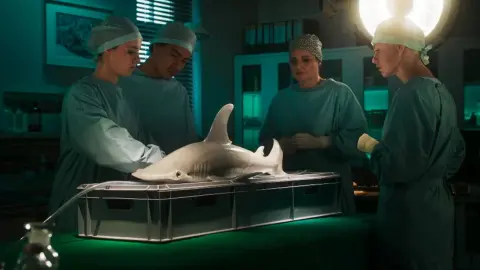 movie image