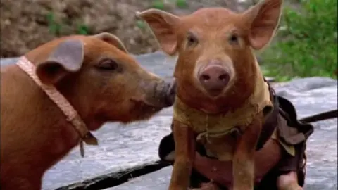 movie image