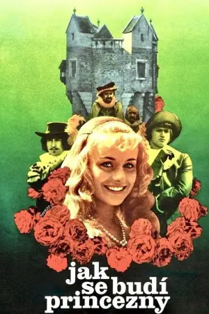 Jak se budí princezny