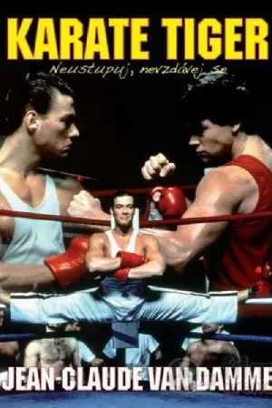 Karate tiger 1: Neustupuj, nevzdávej se