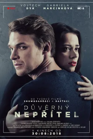 Důvěrný nepřítel