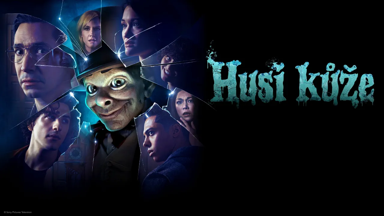 Husí kůže