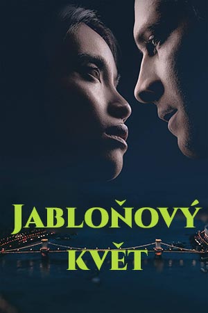 Jabloňový květ