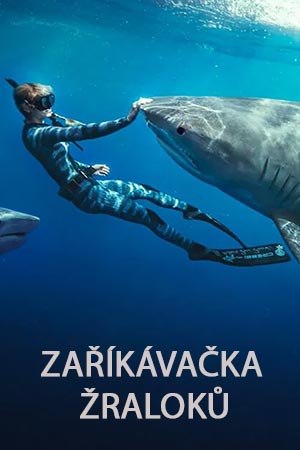 Zaříkávačka žraloků